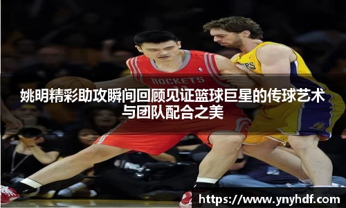 姚明精彩助攻瞬间回顾见证篮球巨星的传球艺术与团队配合之美