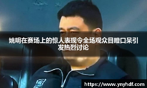 姚明在赛场上的惊人表现令全场观众目瞪口呆引发热烈讨论