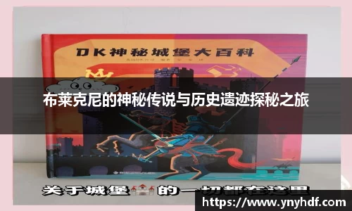 365完美体育